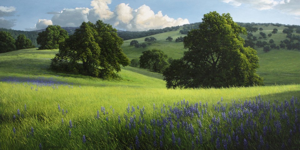 Springtime in Hidden Valley