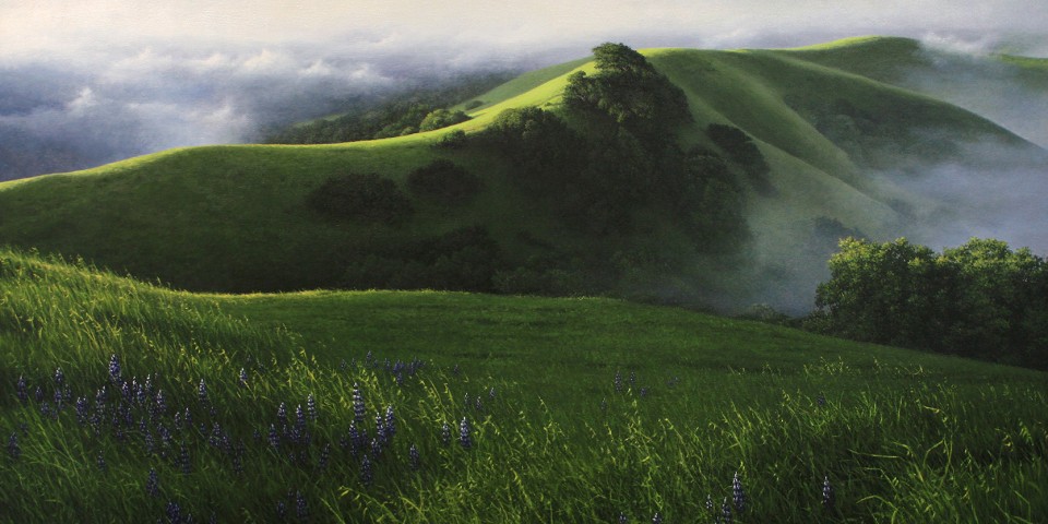 Fog Lifting
