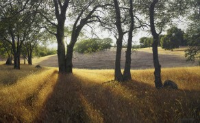 GOLD COUNTRY, 24×42 (sold)