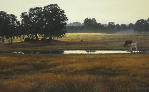 DUSK AT FLEMING RANCH, 12×24 (sold)