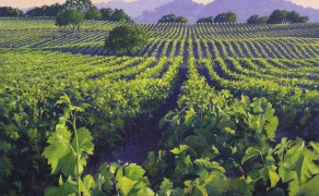 ALONG THE RUSSIAN RIVER, 11×14  (sold)