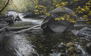 BOX ELDER, 22×28  (sold)