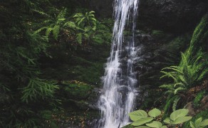 DAWN FALLS, 30×20  (sold)