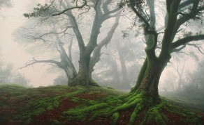 DREAMSCAPE IN WHITE, 24X42  (sold)