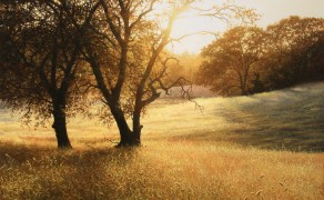 GOLD AT STEPHENS RANCH, 20×24  (sold)