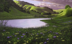 MARIN WILDFLOWERS, 18×24  (sold)