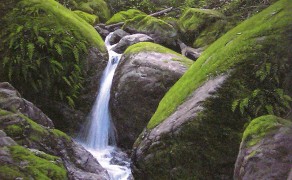 MOUNTAIN SOURCE, 30×15  (sold)