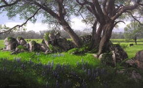 NANCY’S RANCH, 24×42  (sold)