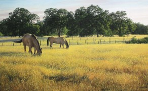 NICHOLS RANCH (study), 15×30 (sold)