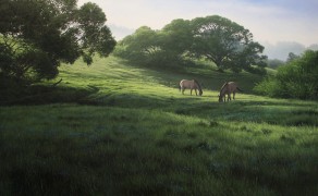 OLEMA VALLEY DEW, 24×36  (sold)