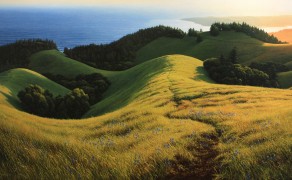 PACIFIC EVENING, 24×48  (sold)