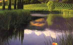 REFLECTIONS ON THE DAY, 20×16 (sold)