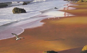 SAILING THE STRAIGHT, 36×24  (Sugarman-Peterson)