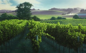 SONOMA SUNRISE, 15×30  (available at Sugarman-Peterson Gallery, Santa Fe)