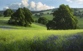 SPRINGTIME IN HIDDEN VALLEY, 24×48  (sold)
