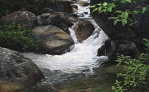 SUMMER SOLITUDE, 36×24  (sold)