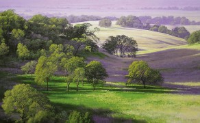 THANKSGIVING MORNING, 24×44  (sold)