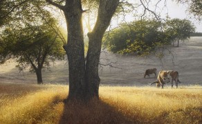 THE SAFFRON HOUR, 40×30  (sold)