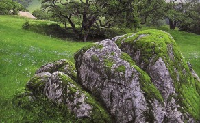 THE SHIRE, 20×20 (avail. at Sugarman-Peterson Gallery, Santa Fe)