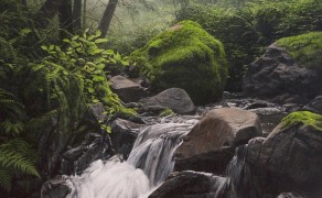 WEBB CREEK, 36×24  (sold)
