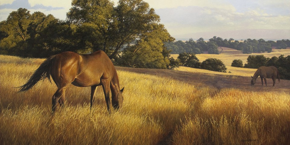 Whitney’s Mares